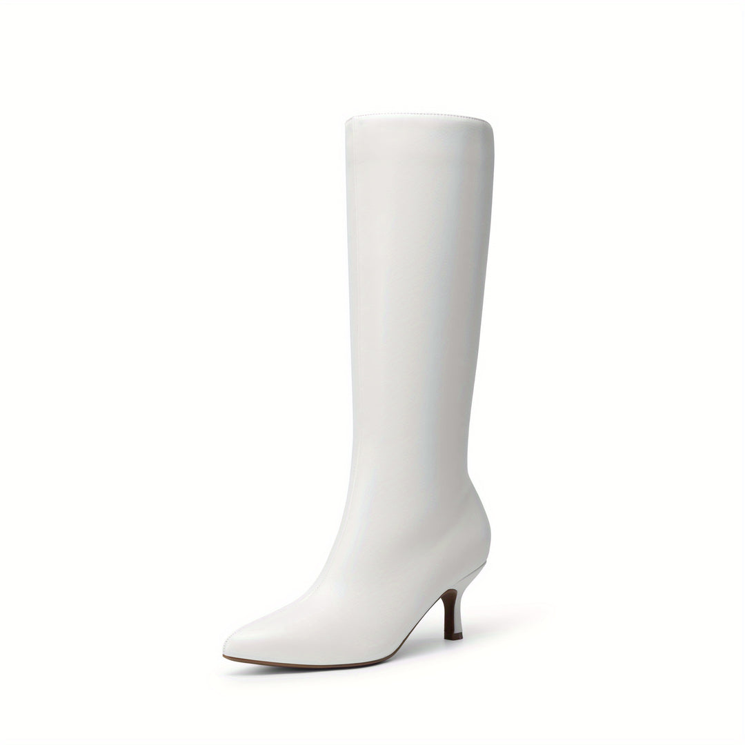 Women'S Sexy Pointed Toe Knee-High