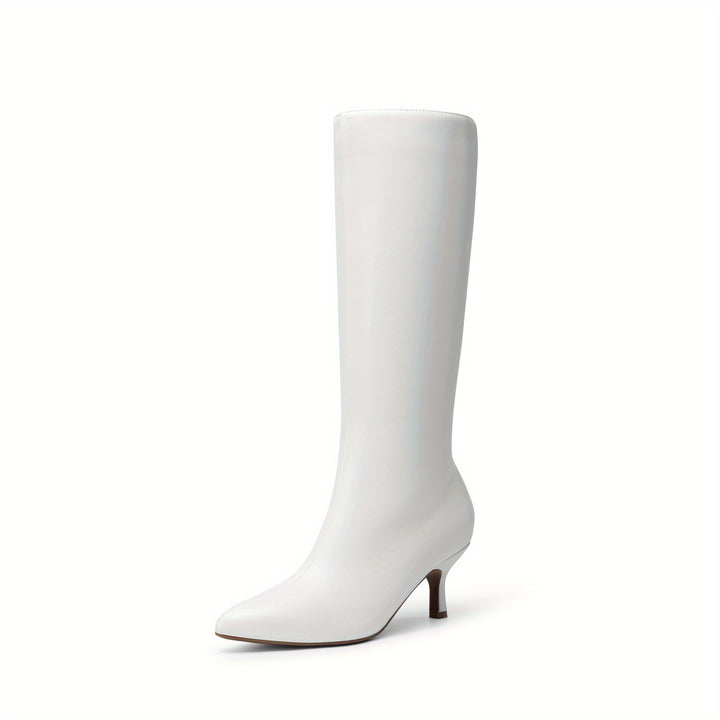 Women'S Sexy Pointed Toe Knee-High